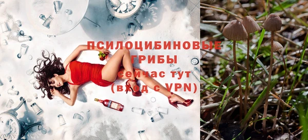 каннабис Новокубанск