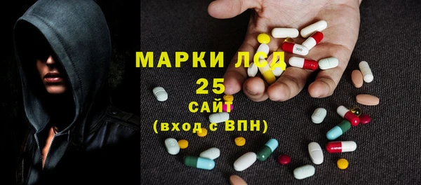 прущий лед Болотное